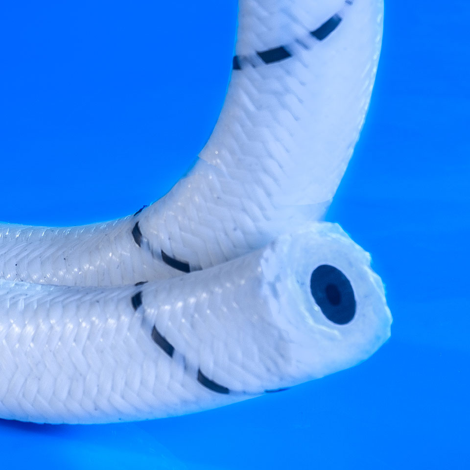 > </div>
<div class=